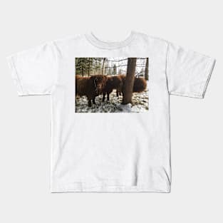 Scottish Highland Cattle Calves 1962 Kids T-Shirt